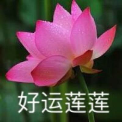 【境内疫情观察】陕西新增180例本土病例（12月27日）